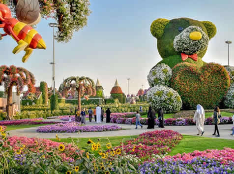 miracle garden dubai